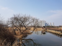 안산 갈대습지 공원 나들이가다 - 권춘희 - 의왕시 시니어기자단 안산 갈대습지 공원 나들이가다