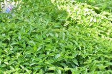 전통 재래시장 성남 모란 5일장 - 권춘희 - 의왕시 시니어기자단 전통 재래시장 성남 모란 5일장