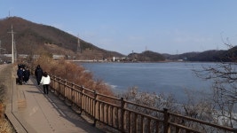 반월호수 둘레길 - 류제월 - 의왕시 시니어기자단 반월호수 둘레길