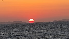 가보고 싶은곳, 마량리 동백나무숲 - 정정숙 - 의왕시 시니어기자단 가보고 싶은곳, 마량리 동백나무숲