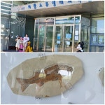 의왕조류생태과학관 체험과 휴식 - 정정숙 - 의왕시 시니어기자단 의왕조류생태과학관 체험과 휴식