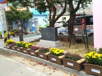 의왕시 고천동 사그내 길 - 조선애 - 의왕시 시니어기자단 의왕시 고천동 사그내 길