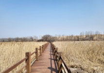 안산 갈대습지 공원 나들이가다 - 권춘희 - 의왕시 시니어기자단 안산 갈대습지 공원 나들이가다