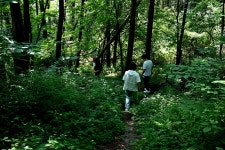 죽령옛길(영주) - 자유게시판 - 전기감리원모임 죽령옛길(영주)