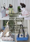 강북구 성북구 도봉구 노원구 패션양재 아동복 애견옷 인형옷 패턴... 성북구 도봉구 노원구 패션양재 아동복 애견옷 인형옷 패턴 재봉틀... 