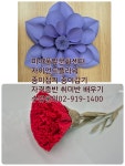 강북구 성북구 도봉구 노원구 자이언트플라워 배우기 [미아풀잎문화센터]수강문의02-919-1400 미아사거리 롯데백화점앞 수유리 미아동... 
