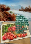 강북구 성북구 도봉구 노원구 평생교육바우처사용기관 평생교육원... 성북구 도봉구 노원구 평생교육바우처사용기관 평생교육원 홈패션... 