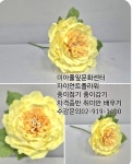 강북구 성북구 도봉구 노원구 자이언트플라워 배우기 [미아풀잎문화센터]수강문의02-919-1400 미아사거리 롯데백화점앞 종이접기 종이감... 