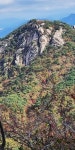 능이산행ㆍ인수 - ＊＊＊＊＊꽃신네다육이 - 꽃신의 다육 뜨락 능이산행ㆍ인수