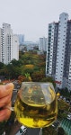 능이산행ㆍ인수 - ＊＊＊＊＊꽃신네다육이 - 꽃신의 다육 뜨락 능이산행ㆍ인수