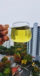능이산행ㆍ인수 - ＊＊＊＊＊꽃신네다육이 - 꽃신의 다육 뜨락 능이산행ㆍ인수