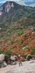 능이산행ㆍ인수 - ＊＊＊＊＊꽃신네다육이 - 꽃신의 다육 뜨락 능이산행ㆍ인수