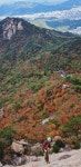 능이산행ㆍ인수 - ＊＊＊＊＊꽃신네다육이 - 꽃신의 다육 뜨락 능이산행ㆍ인수