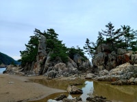 포토에세이ㅣ바다정원 부남해변 - 정연휘시인 - 삼척 두타문학회 포토에세이ㅣ바다정원 부남해변