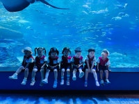 7월 25일-해운대 아쿠아리움 견학(지역사회연계활동) - 25년 누리반 사진 - 양정중앙어린이집 7월 25일-해운대 아쿠아리움 견학... 