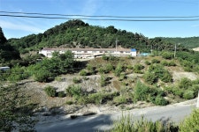 천황지맥 1구간(천황지맥 분기점=＞천황산=＞뒷밤재) - 윤종국님(16) 카페★ - 와수초등학교 총동문회 천황지맥 1구간(천황지맥 분기점=＞천황산... 