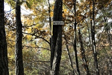 등곡지맥 1구간(등곡지맥 분기점=＞문수봉=＞착골재) - 윤종국님(16) 카페★ - 와수초등학교 총동문회 등곡지맥 1구간(등곡지맥 분기점=＞문수봉... 