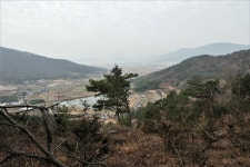 고흥지맥 1구간(고흥지맥 분기점=＞천봉산=＞당골(당치)고개)... 총동문회 고흥지맥 1구간(고흥지맥 분기점=＞천봉산=＞당골(당치)고개)