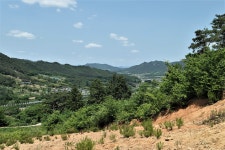 통명지맥 2구간(원리재=＞통명산=＞보성강/섬진강 합수점) - 윤종국님... 총동문회 통명지맥 2구간(원리재=＞통명산=＞보성강/섬진강 합수점)