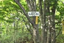 천황지맥 1구간(천황지맥 분기점=＞천황산=＞뒷밤재) - 윤종국님(16) 카페★ - 와수초등학교 총동문회 천황지맥 1구간(천황지맥 분기점=＞천황산... 