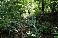 통명지맥 2구간(원리재=＞통명산=＞보성강/섬진강 합수점) - 윤종국님... 총동문회 통명지맥 2구간(원리재=＞통명산=＞보성강/섬진강 합수점)