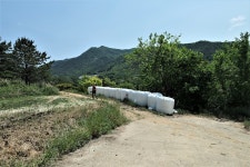 통명지맥 2구간(원리재=＞통명산=＞보성강/섬진강 합수점) - 윤종국님... 총동문회 통명지맥 2구간(원리재=＞통명산=＞보성강/섬진강 합수점)