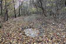 등곡지맥 1구간(등곡지맥 분기점=＞문수봉=＞착골재) - 윤종국님(16) 카페★ - 와수초등학교 총동문회 등곡지맥 1구간(등곡지맥 분기점=＞문수봉... 