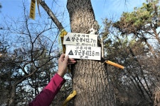 고흥지맥 1구간(고흥지맥 분기점=＞천봉산=＞당골(당치)고개)... 총동문회 고흥지맥 1구간(고흥지맥 분기점=＞천봉산=＞당골(당치)고개)