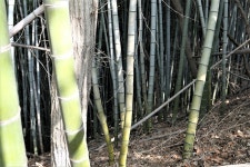 북거제지맥(북거제지맥 분기점=＞대금산/앵산=＞할미바위) - 윤종국님(16) 카페★ - 와수초등학교 총동문회 북거제지맥(북거제지맥 분기점... 