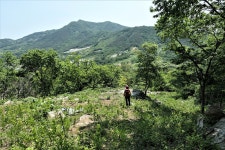 통명지맥 2구간(원리재=＞통명산=＞보성강/섬진강 합수점) - 윤종국님... 총동문회 통명지맥 2구간(원리재=＞통명산=＞보성강/섬진강 합수점)