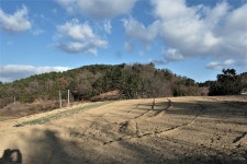 고흥지맥 1구간(고흥지맥 분기점=＞천봉산=＞당골(당치)고개)... 총동문회 고흥지맥 1구간(고흥지맥 분기점=＞천봉산=＞당골(당치)고개)