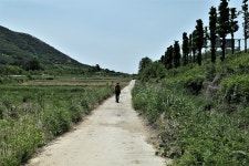 통명지맥 2구간(원리재=＞통명산=＞보성강/섬진강 합수점) - 윤종국님... 총동문회 통명지맥 2구간(원리재=＞통명산=＞보성강/섬진강 합수점)
