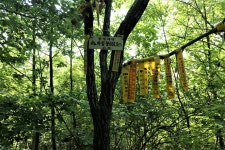 통명지맥 2구간(원리재=＞통명산=＞보성강/섬진강 합수점) - 윤종국님... 총동문회 통명지맥 2구간(원리재=＞통명산=＞보성강/섬진강 합수점)