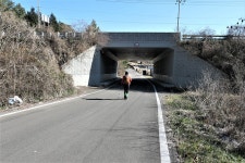 고흥지맥 1구간(고흥지맥 분기점=＞천봉산=＞당골(당치)고개)... 총동문회 고흥지맥 1구간(고흥지맥 분기점=＞천봉산=＞당골(당치)고개)