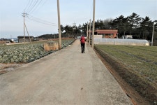 봉대지맥(봉대지맥 분기점=＞봉대산=＞점암선착장) - 윤종국님(16) 카페★ - 와수초등학교 총동문회 봉대지맥(봉대지맥 분기점=＞봉대산... 