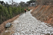 고흥지맥 1구간(고흥지맥 분기점=＞천봉산=＞당골(당치)고개)... 총동문회 고흥지맥 1구간(고흥지맥 분기점=＞천봉산=＞당골(당치)고개)