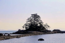 장흥 용산면 소등섬 - 자유칠판 - 서울일신국민학교 장흥 용산면 소등섬