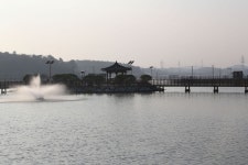 장흥 용산면 소등섬 - 자유칠판 - 서울일신국민학교 장흥 용산면 소등섬