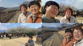 남평 문씨 세거지 홍매화 24년3월16일 홍매화 - ● ―‥‥‥‥은지네앨범방 - 말씀 교회 조화영 남평 문씨 세거지 홍매화 24년3월16일 홍매화