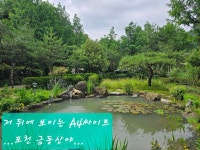 일요일 아침 연못에서 A4싸이트를 바라본 전경입니다~~^^ - 캠핑후기 - 금동산야 금동산야