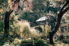 1박 잘쉬고 왔어요. - 캠핑후기 - 금동산야 금동산야