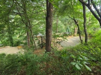 C1,2싸이트 입니다~~^^ - 캠핑후기 - 금동산야 금동산야