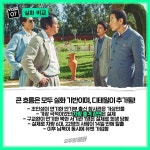 더쿠 - 영화 모가디슈 비하인드.jpg