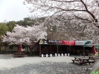 무등산자락 다님길 트레킹(제285차 청산회 월례산행) - 36 청산회 - 광주서중일고제36회 동창회 (靑塔會) sl, kj, u.s.a 무등산자락 다님길... 