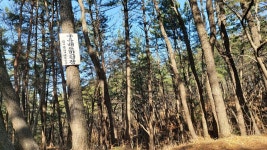 윤산과 부엉산 둘레길 - 가고 싶은 둘레길 - 여영모임 윤산과 부엉산 둘레길