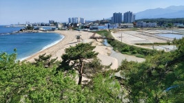 평화누리길 10차 - 평화누리길 - 여영모임 평화누리길 10차