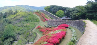 연산홍 만개한 ＜고창읍성＞과 ＜병바위＞ - # 국내 여행 - 경주야 남산아 연산홍 만개한 ＜고창읍성＞과 ＜병바위＞