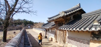 내가 본 최고의 소나무 -보은 ＜서원리소나무＞ - # 국내 여행 - 경주야 남산아 내가 본 최고의 소나무 -보은 ＜서원리소나무＞