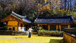 운곡서원(雲谷書院) - 내가 만든 동영상 작품 - 自然과 더불어 산다!! 운곡서원(雲谷書院)