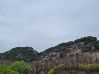 2022.04.13. 인왕산과 안산 다녀왔습니다. - ◈2022년도 - 오소재민박 2022.04.13. 인왕산과 안산 다녀왔습니다.